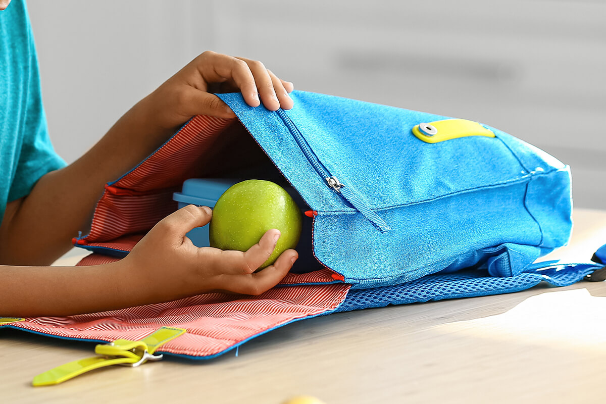 school-insight-feature-1200×800