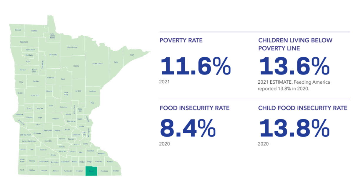 Mower County Statistics